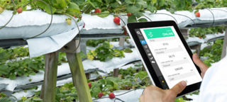 SPAGNOL CLIMATE & FERTIGATION